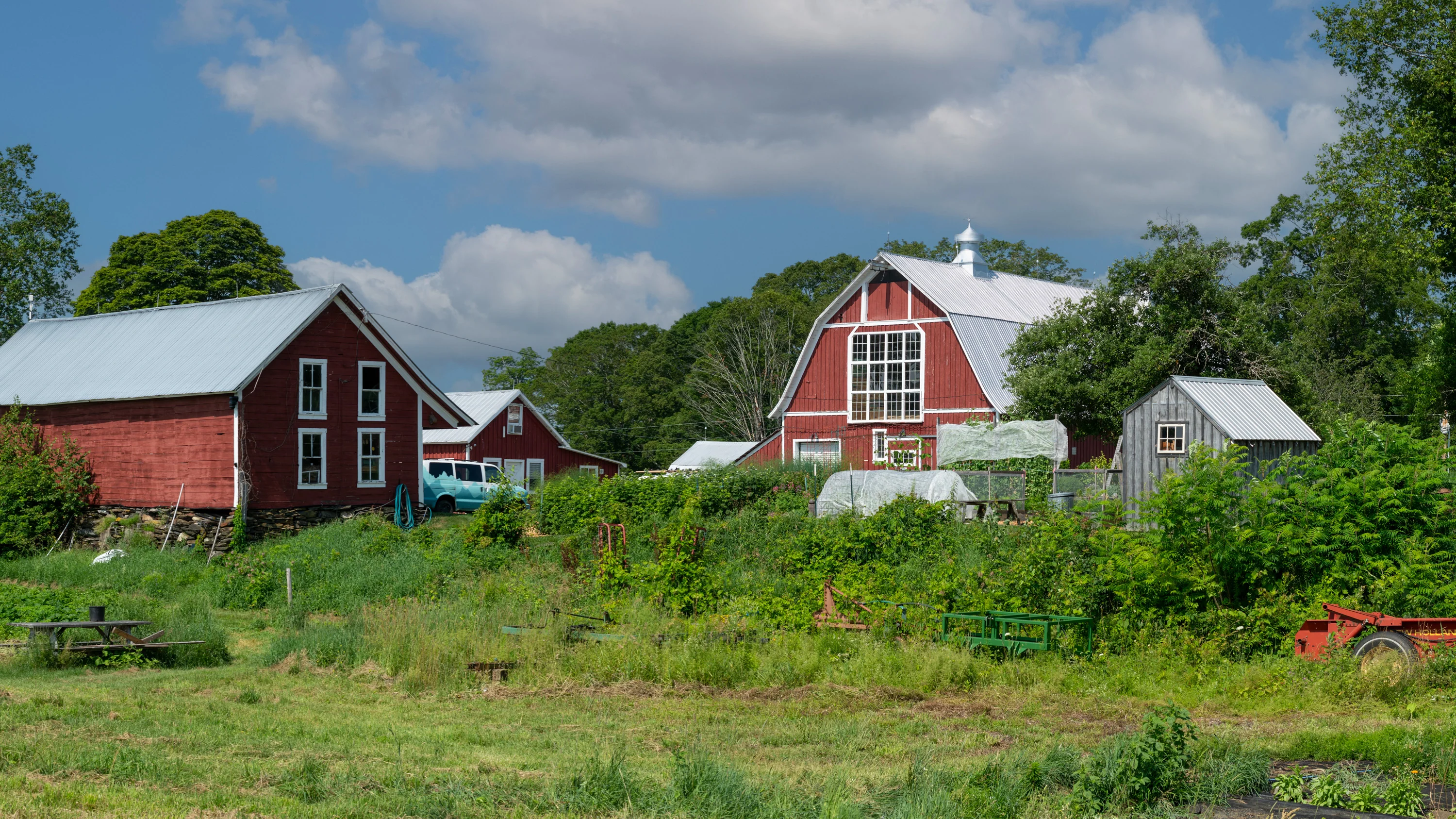 Pure Vermont Soil-Grown Botanicals